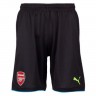 The male kit  of the goalkeeper football club Arsenal 2016/2017 Home (set: T-shirt + shorts + leggings)