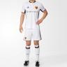 La forma del club de fútbol Basel 2016/2017 (conjunto: camiseta + pantalones cortos + polainas)