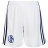 The kit of the football club Schalke 04 2016/2017 Home (set: T-shirt + shorts + leggings)