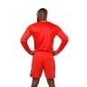 La forma masculina del club de fútbol portero Feyenoord 2016/2017 (conjunto: camiseta + pantalones cortos + polainas)