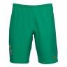 Bermudas do clube de futebol Werder 2016/2017