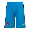 The male kit  of the goalkeeper football club Arsenal 2016/2017 Away (set: T-shirt + shorts + leggings)