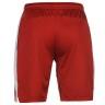 Shorts of the football club Rangers 2016/2017