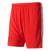 Shorts of the Russian national football team 2017