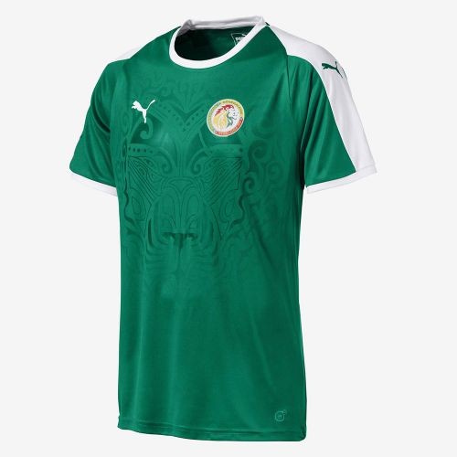 The uniform of the Senegal national football team World Cup 2018 Away (set: T-shirt + shorts + leggings)