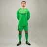 Camiseta de hombre para el portero del Aberdeen FC 2016/2017