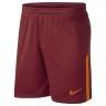 Shorts of the football club Galatasaray 2017/2018