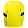 Мужская форма голкипера футбольного клуба Астон Вилла 2016/2017 (комплект: футболка + шорты + гетры)