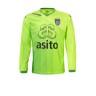 Men's soccer goalkeeper t-shirt Heracles 2016/2017