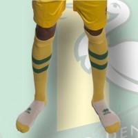 Leggings of the soccer club Den Haag 2016/2017