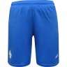 Bermudas do clube de futebol Darmstadt 98 2016/2017