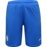 La forme du club de football Darmstadt 98 2016/2017 (ensemble: T-shirt + shorts + leggings)