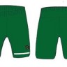 The kit of the football club Zwolle 2016/2017 (set: T-shirt + shorts + leggings)