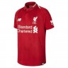 Children's kit of the football club Liverpool 2018/2019 Home (set: T-shirt + shorts + leggings)